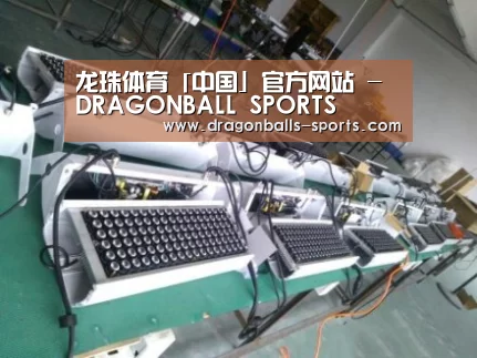 龙珠体育app比分直播案例展示一