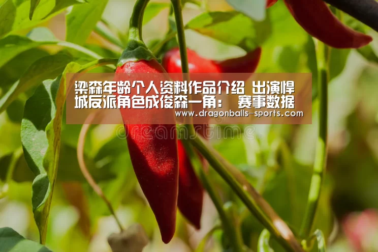 龙珠体育app比分直播
