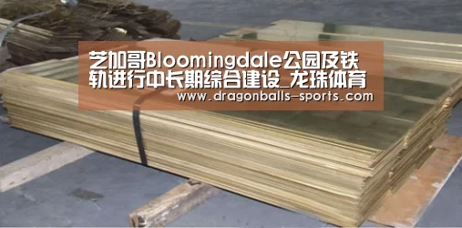 芝加哥Bloomingdale公园及铁轨进行中长期综合建设_龙珠体育app比分直播(图3) 篮球直播