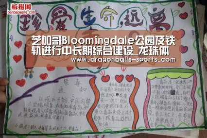 芝加哥Bloomingdale公园及铁轨进行中长期综合建设_龙珠体育app比分直播(图2) 赛事数据直播