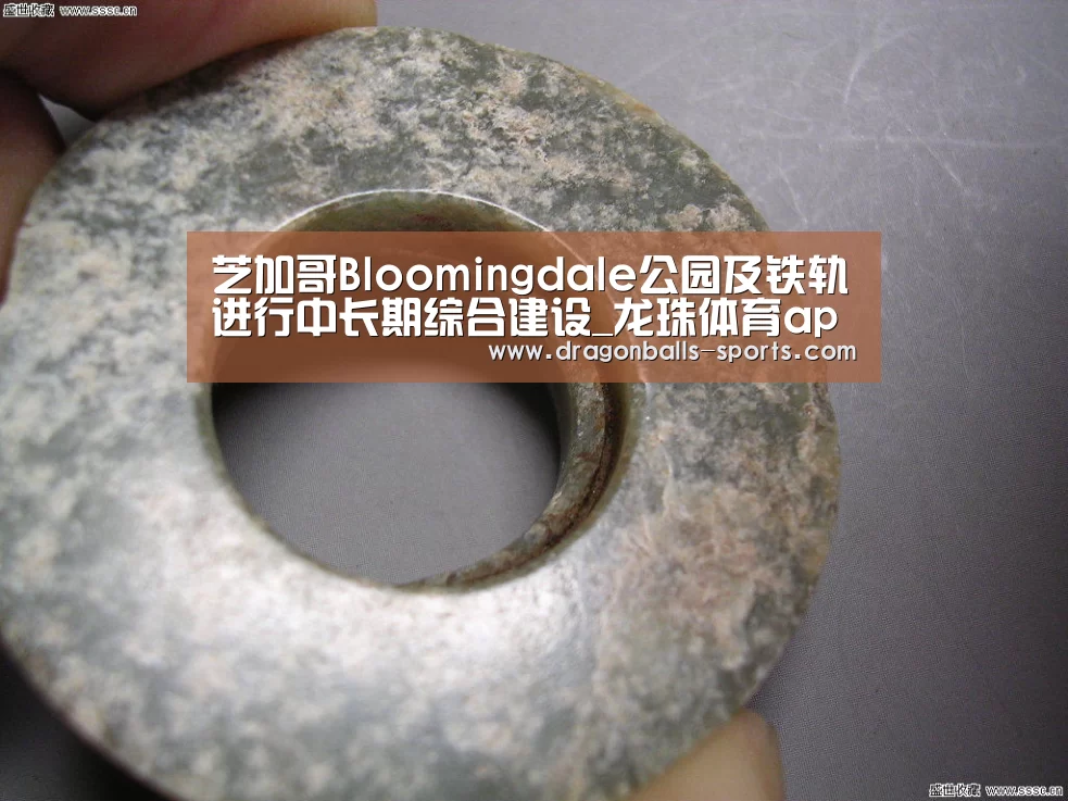 芝加哥Bloomingdale公园及铁轨进行中长期综合建设_龙珠体育app比分直播(图4) 篮球直播