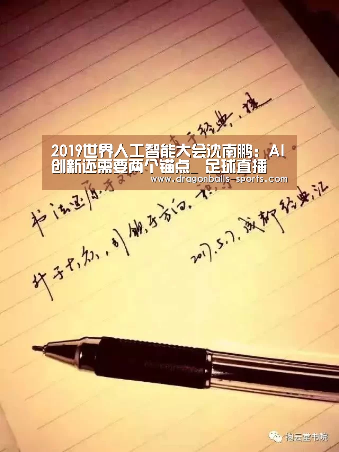 2019世界人工智能大会沈南鹏:AI创新还需要两个锚点_ 足球直播(图2) 篮球直播