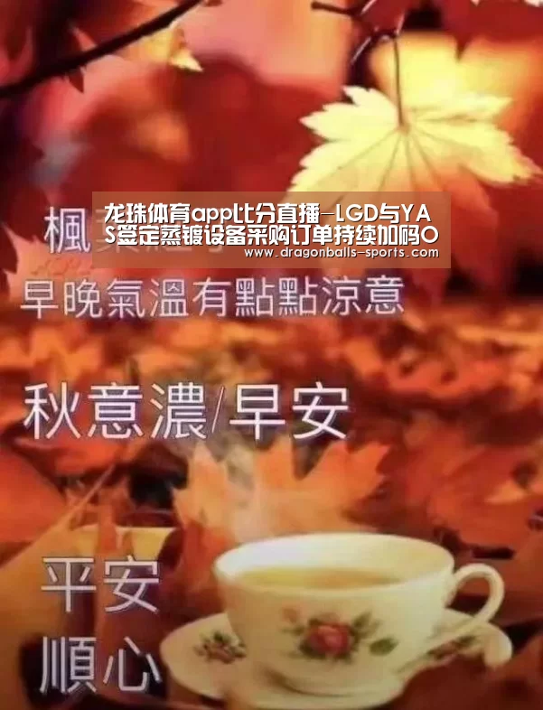  实时比分