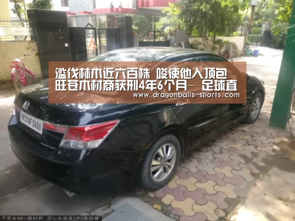 龙珠体育app比分直播