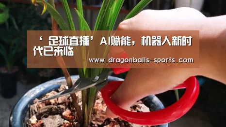  实时比分
